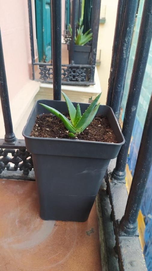 Manoli Maison d'hôtes *